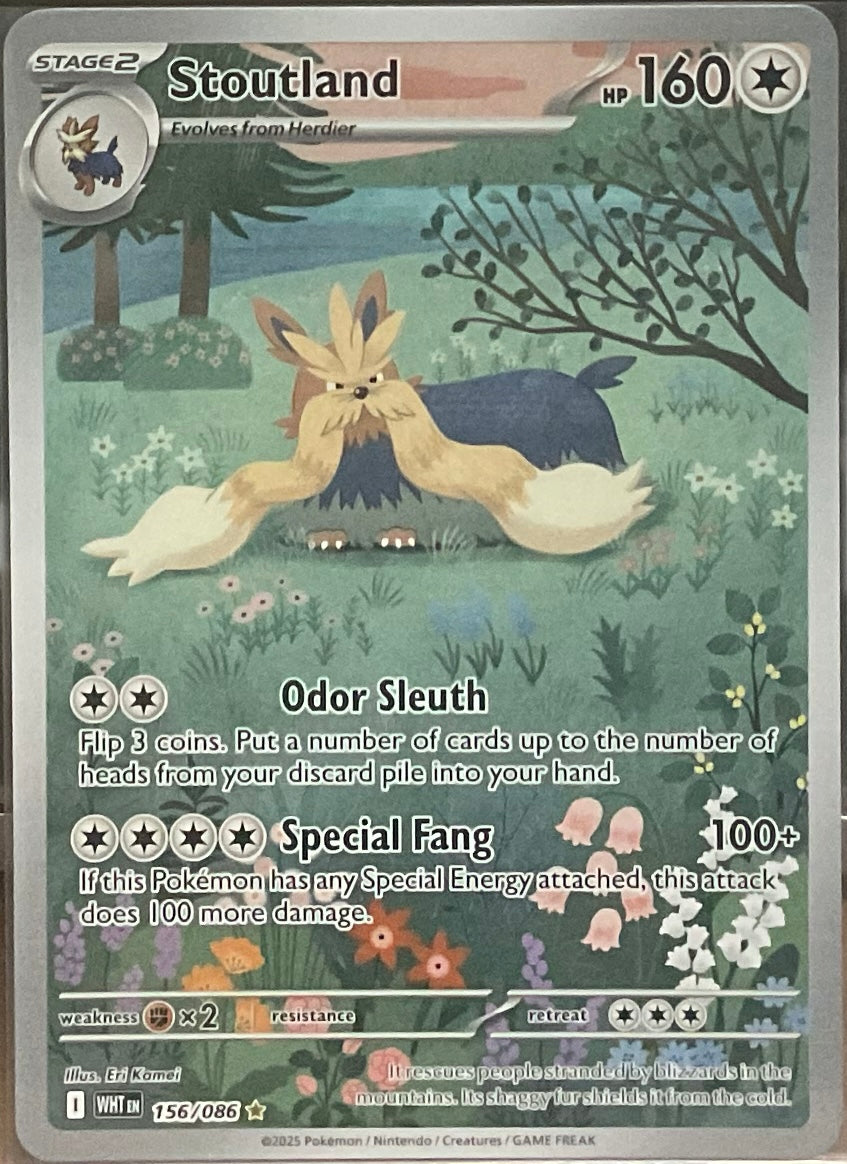 Stoutland #156 - Pokémon White Flare