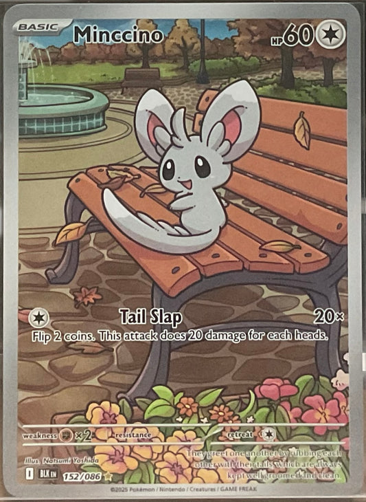 Minccino #152 – Pokémon Black Bolt