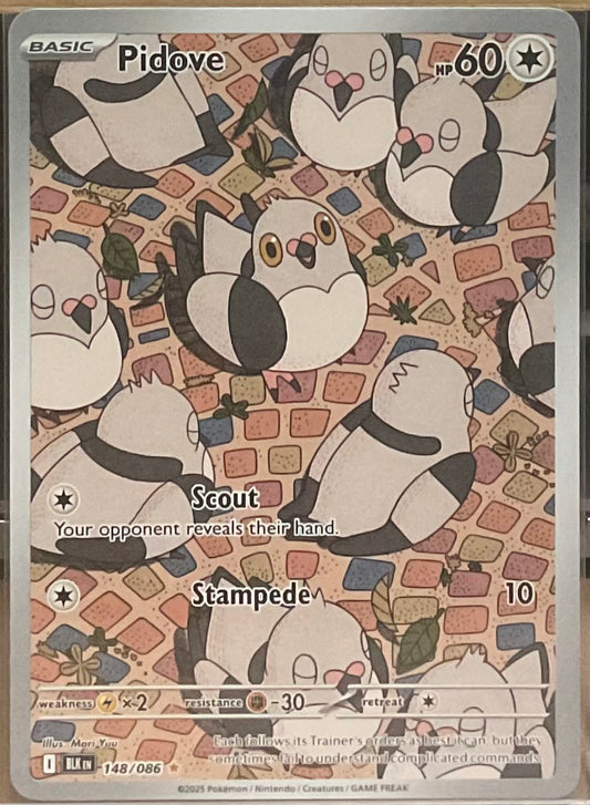 Pidove #148 – Pokémon Black Bolt